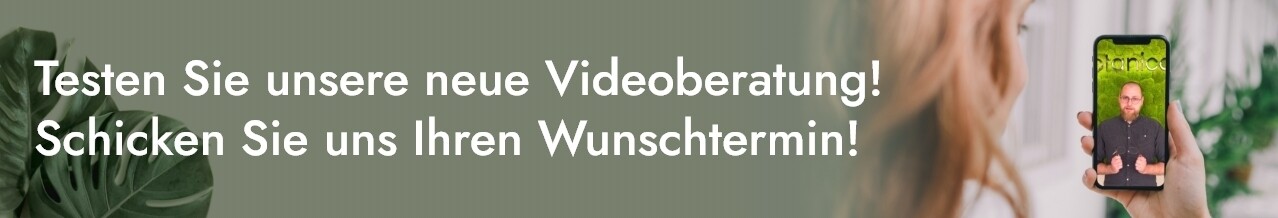 Videoberatung per Whatsapp