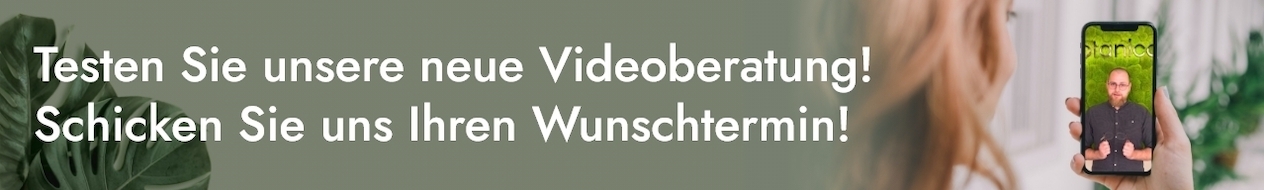 Kinderbrillen